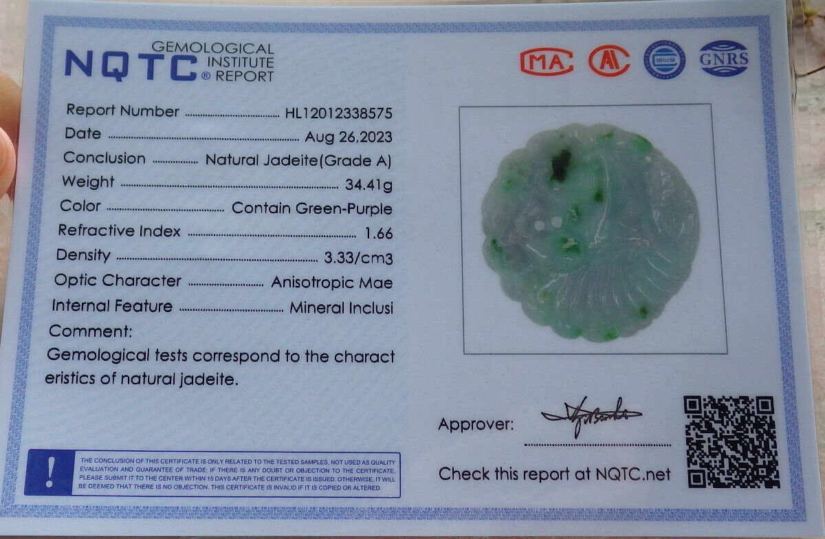 Certified Green Burma 100% Natural A Jade jadeite Pendant Eagle Snake Coin Necklace 大展宏图 633423  TN