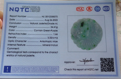 Certified Green Burma 100% Natural A Jade jadeite Pendant Eagle Snake Coin Necklace 大展宏图 633423  TN