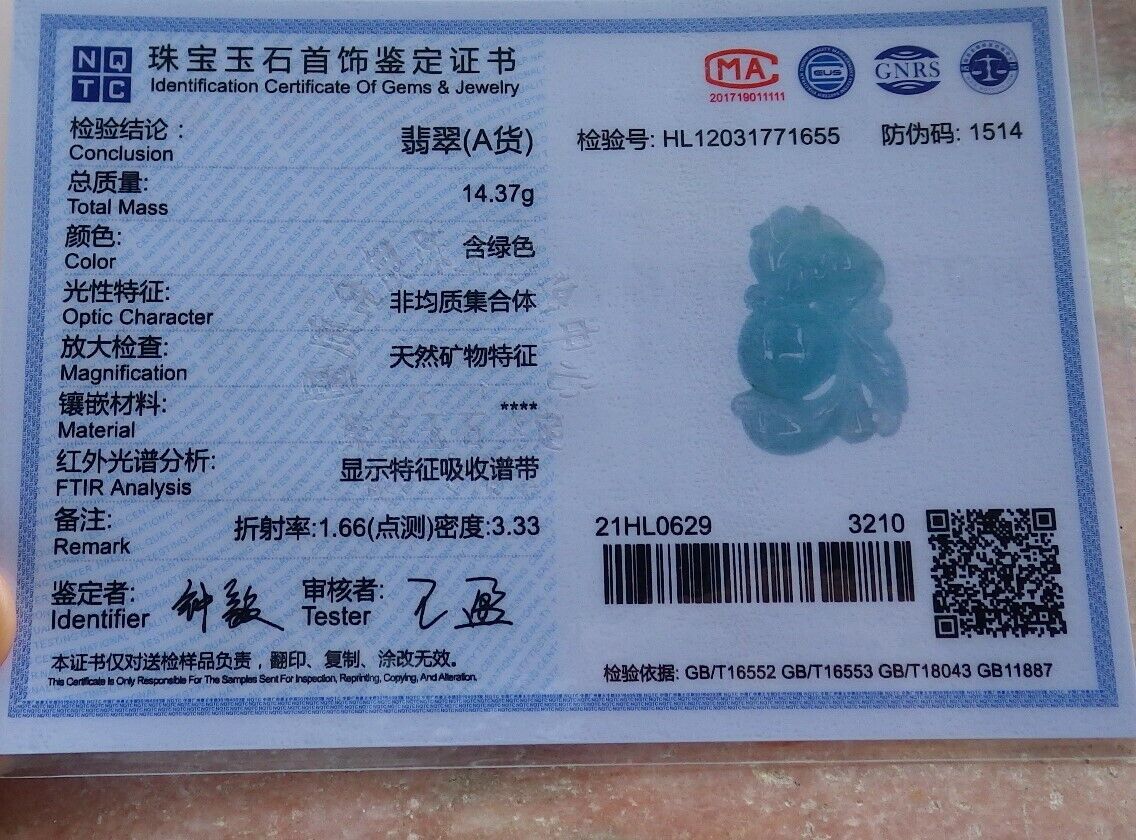 Certified Icy Green 100% Natural A Jade jadeite Pendant Dragon Pi Xiu Ruyi Money Coin Necklace 风水貔貅 528905  TN