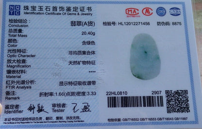 Certified Green Burma 100% Natural A Jade jadeite Pendant Sakyamuni Buddha God 5 Dragon Necklace 574365 TN