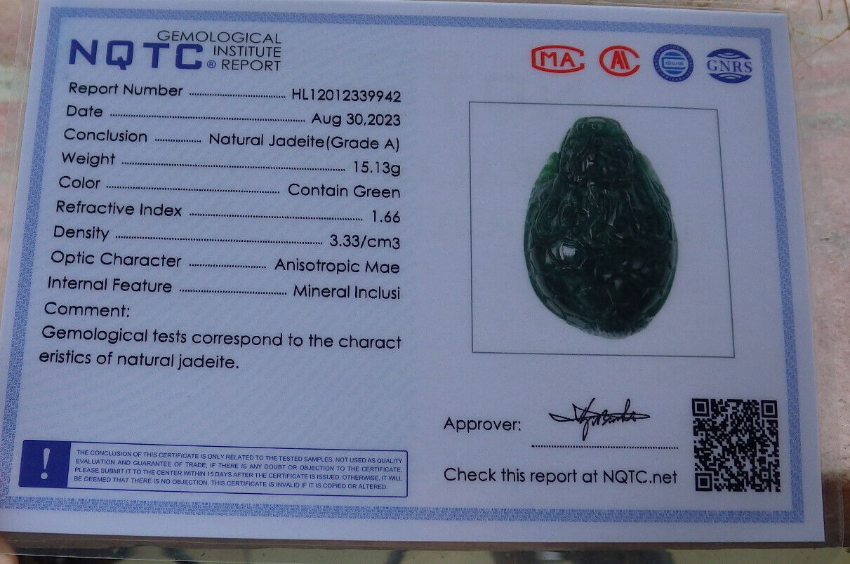 Certified Icy Green Burma 100% Natural A Jade jadeite Pendant Dragon Turtle Money Coin Necklace 龙龟 636567  TN