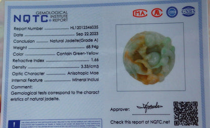 Certified Yellow Green Burma 100% Natural A Jade jadeite Pendant Dragon Pi Xiu Money Coin Ruyi Necklace 风水貔貅 634127  TN