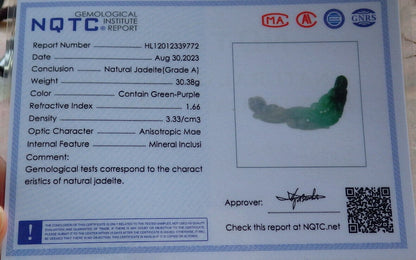 Certified Green Burma 100% Natural A Jade jadeite Pendant Phoenix Bird Flower Necklace 鸟语花香 635267  TN