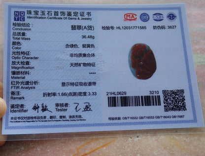 Certified Brown Red Green 100% Natural A Jade jadeite Pendant Gold Fish Sea Shell Necklace 金玉满堂 528832  TN