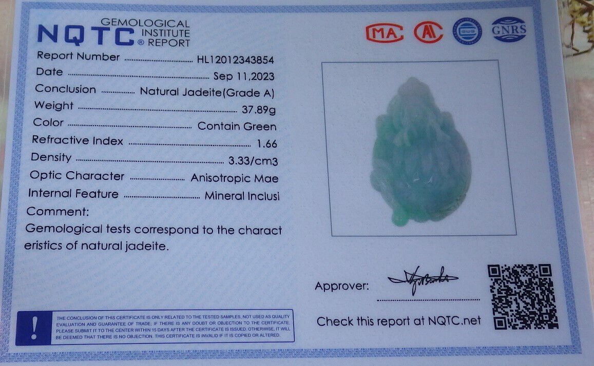 Certified Green Burma 100% Natural A Jade jadeite Pendant Dragon Turtle Snake Coin Necklace 龙龟 632936  TN
