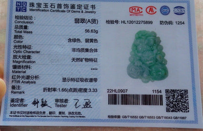 Certified Green 100% Natural A Jade jadeite Pendant Dragon Pi Xiu Frog Toad Peach Coin Necklace 风水貔貅 574019 TN