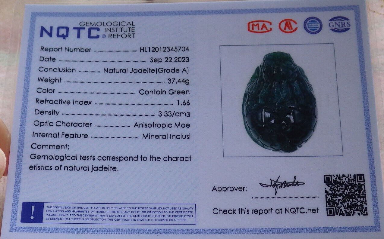 Certified Icy Green Burma 100% Natural A Jade jadeite Pendant Dragon Turtle Money Coin Necklace 龙龟 636081  TN