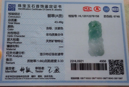 Certified Icy Green Burma 100% Natural A Jade jadeite Pendant Phoenix Frog Toad Ruyi Necklace 凤凰 575148 TN