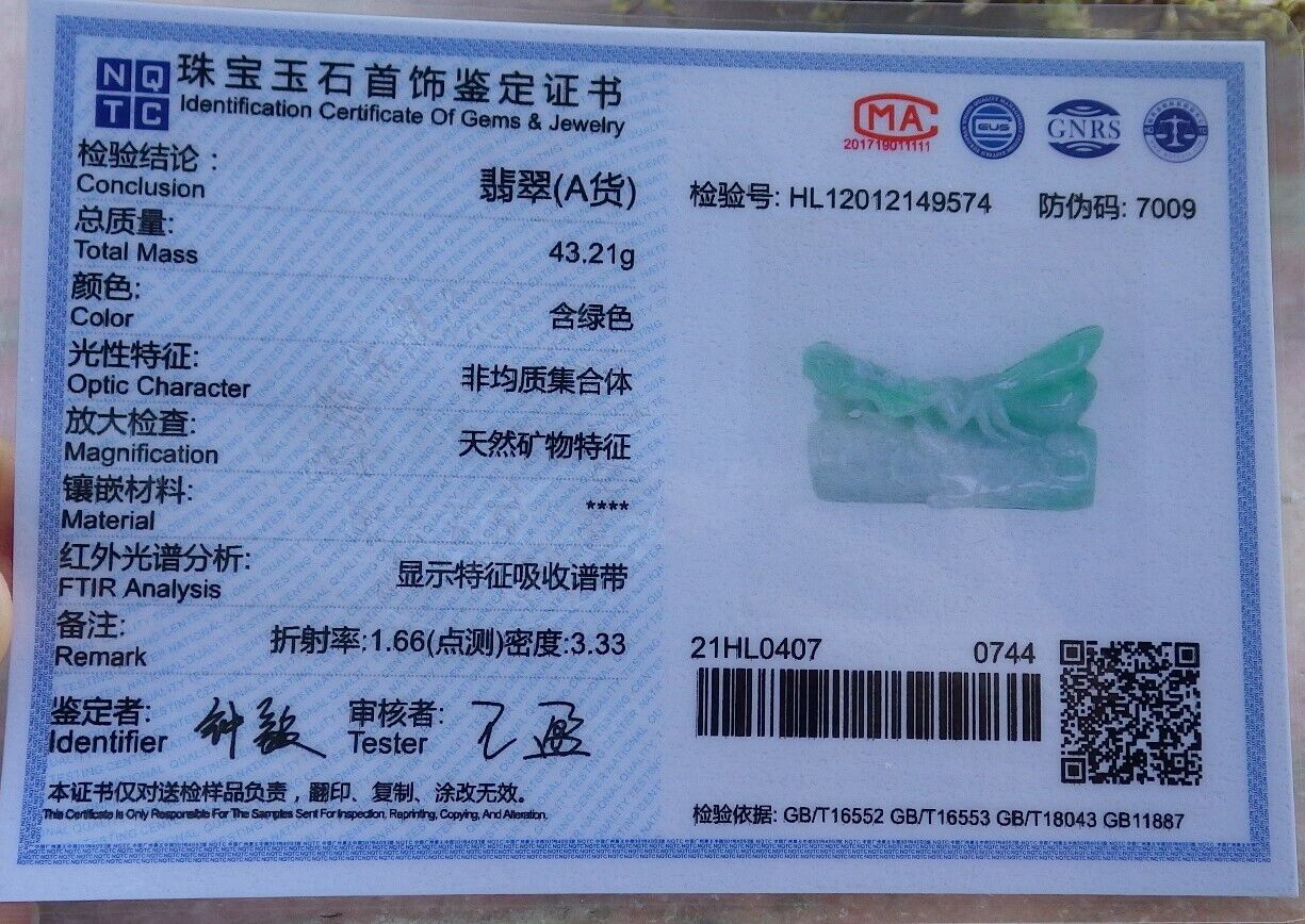 Certified Green 100% Natural A Jade jadeite Display Cicada Tree 一鸣惊人 524098 TN