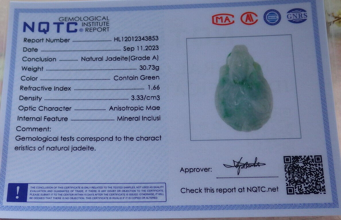 Certified Green Burma 100% Natural A Jade jadeite Pendant Dragon Turtle Snake Coin Necklace 龙龟 633018  TN