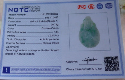 Certified Green Burma 100% Natural A Jade jadeite Pendant Dragon Turtle Snake Coin Necklace 龙龟 633018  TN