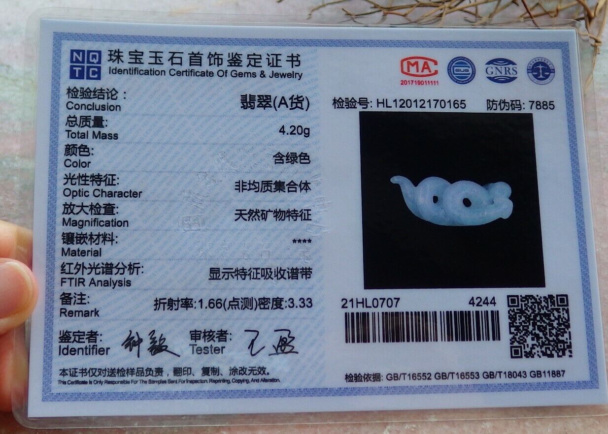 Certified Icy Pale Green 100% Natural A Jade jadeite pendant Snake Money Coin Necklace 蛇 530095   TN