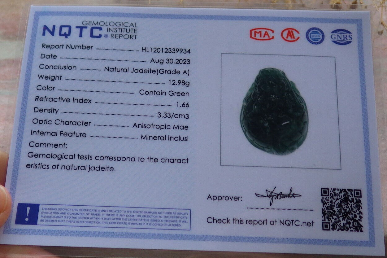 Certified Icy Green Burma 100% Natural A Jade jadeite Pendant Dragon Turtle Money Coin Necklace 龙龟 636559  TN