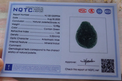 Certified Icy Green Burma 100% Natural A Jade jadeite Pendant Dragon Turtle Money Coin Necklace 龙龟 636559  TN