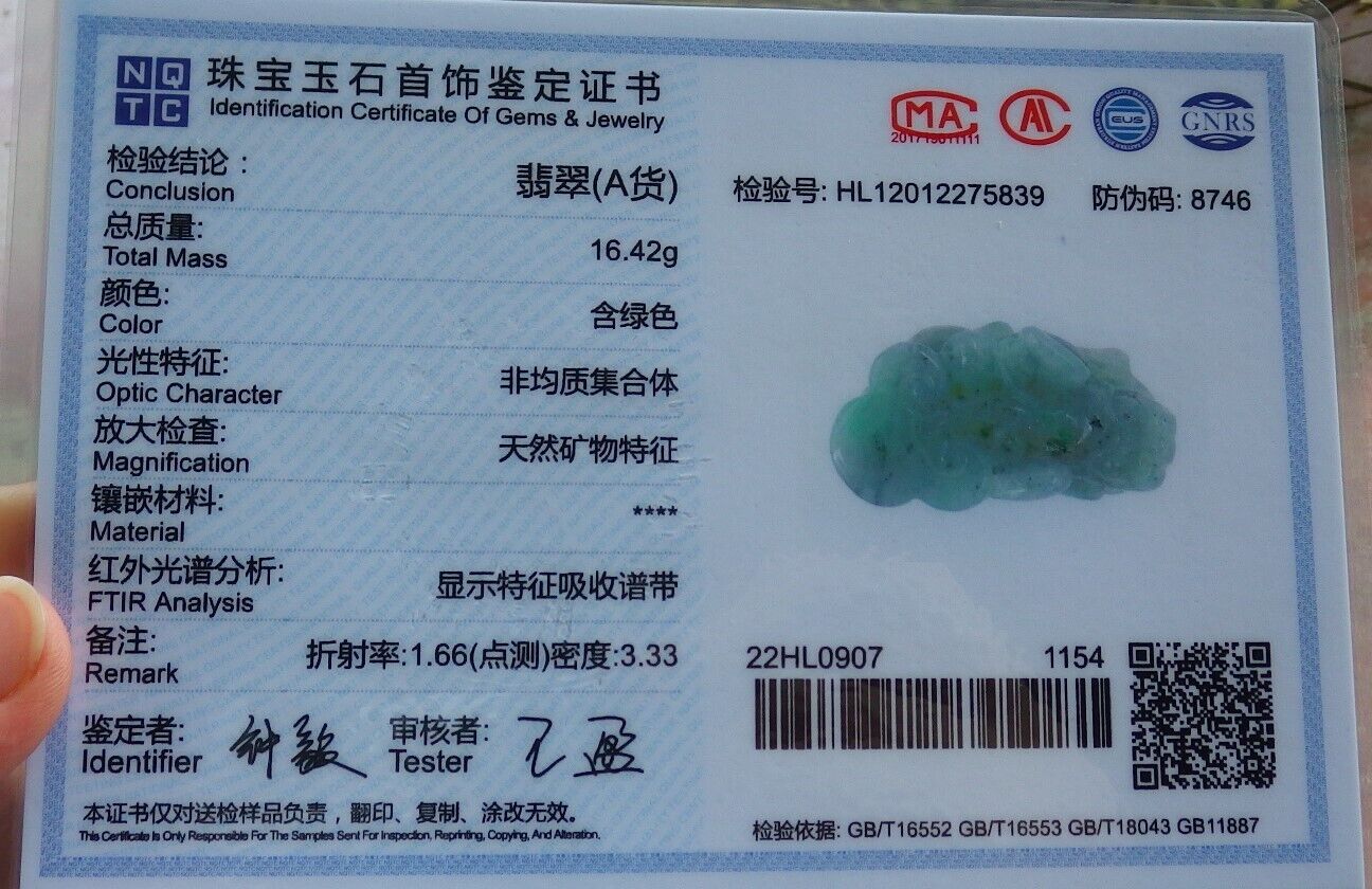 Pair Certified Green Burma 100% Natural A Jade jadeite Pendant Dragon Pi Xiu Coin Money Coin Necklace 风水貔貅 574130 TN