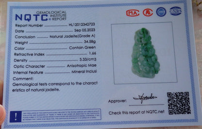 Certified Green Burma 100% Natural A Jade jadeite Pendant Panda Bamboo Ruyi Necklace 熊猫 633295  TN