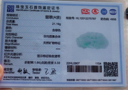 Pair Certified Green Burma 100% Natural A Jade jadeite Pendant Dragon Pi Xiu Money Coin Ruyi Necklace 风水貔貅 574573 TN