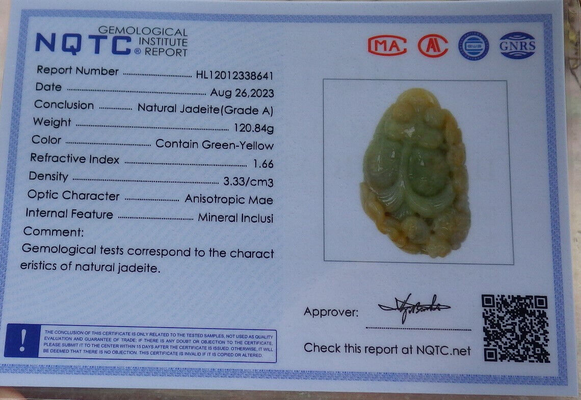 Certified Yellow Green Burma 100% Natural A Jade jadeite pendant Gold Fish Bat Lotus Leaf Coin Necklace 金玉满堂 632625  TN