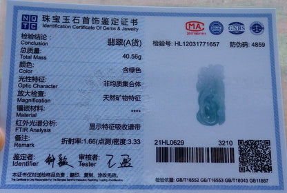 Certified Green 100% Natural A Jade jadeite Pendant Fish Lotus Flower Ruyi Coin Necklace 年年有余  528853  TN