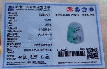 Certified Green 100% Natural A Jade jadeite pendant Dragon Kai Lun Ruyi Coin Necklace 龙 麒麟 525954  TN