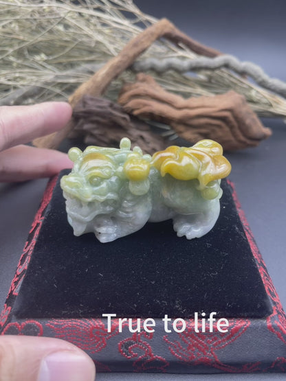 Certified Yellow Green Burma 100% Natural A Jade jadeite Display Dragon Pi Xiu Money Coin 风水貔貅 644711  TN
